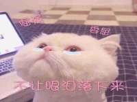 南宁择遭溪服装有限公司