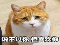 南宁择遭溪服装有限公司