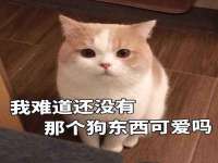 南宁择遭溪服装有限公司
