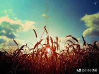 南宁择遭溪服装有限公司