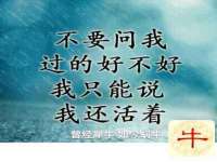 南宁择遭溪服装有限公司