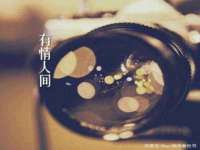 南宁择遭溪服装有限公司