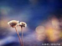南宁择遭溪服装有限公司
