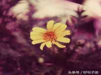 南宁择遭溪服装有限公司