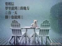 南宁择遭溪服装有限公司