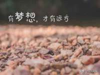 南宁择遭溪服装有限公司
