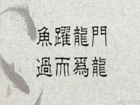 南宁择遭溪服装有限公司