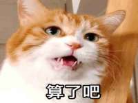 南宁择遭溪服装有限公司