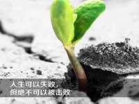 南宁择遭溪服装有限公司