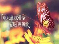 南宁择遭溪服装有限公司