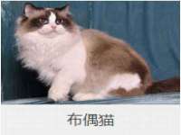 南宁择遭溪服装有限公司