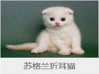 南宁择遭溪服装有限公司