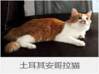 南宁择遭溪服装有限公司