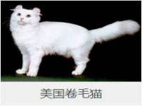南宁择遭溪服装有限公司