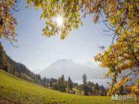 南宁择遭溪服装有限公司