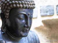 南宁择遭溪服装有限公司