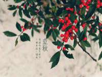 南宁择遭溪服装有限公司