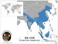 南宁择遭溪服装有限公司