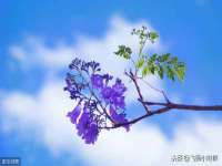 南宁择遭溪服装有限公司