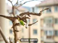 南宁择遭溪服装有限公司