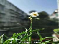 南宁择遭溪服装有限公司