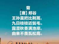 南宁择遭溪服装有限公司