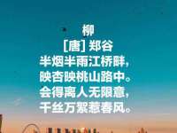 南宁择遭溪服装有限公司