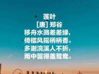 南宁择遭溪服装有限公司