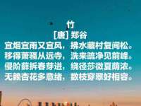 南宁择遭溪服装有限公司