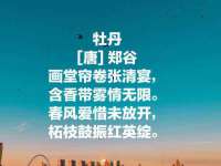 南宁择遭溪服装有限公司