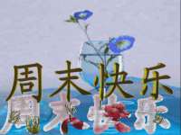 南宁择遭溪服装有限公司