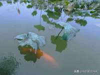 南宁择遭溪服装有限公司