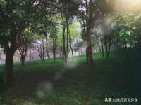 南宁择遭溪服装有限公司