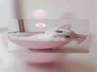 南宁择遭溪服装有限公司