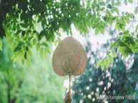 南宁择遭溪服装有限公司