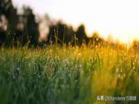 南宁择遭溪服装有限公司