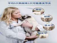 南宁择遭溪服装有限公司