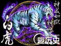 南宁择遭溪服装有限公司