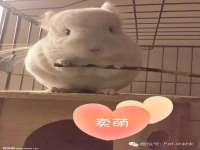 南宁择遭溪服装有限公司