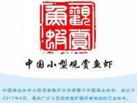 南宁择遭溪服装有限公司