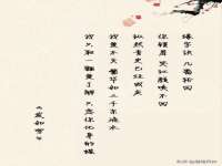 南宁择遭溪服装有限公司