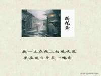 南宁择遭溪服装有限公司