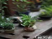 南宁择遭溪服装有限公司