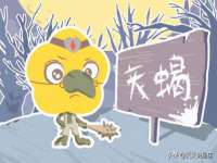 南宁择遭溪服装有限公司