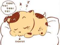 南宁择遭溪服装有限公司