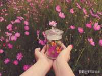 南宁择遭溪服装有限公司