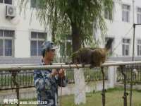 南宁择遭溪服装有限公司