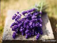 南宁择遭溪服装有限公司