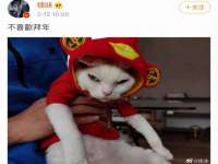 南宁择遭溪服装有限公司