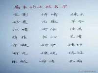南宁择遭溪服装有限公司